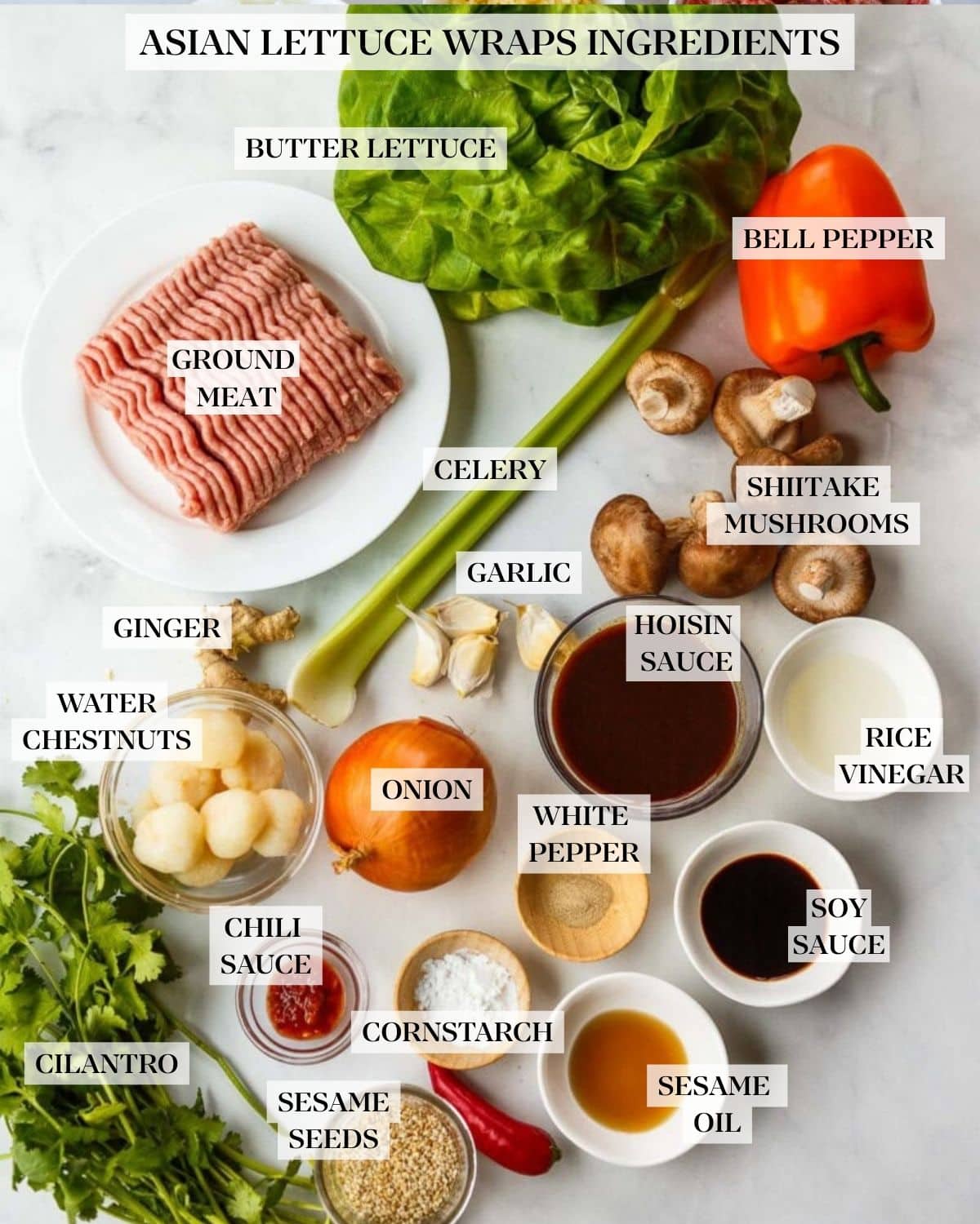 Asian lettuce wraps ingredients labeled and neatly arranged - butter lettuce, bell pepper, ground meat, celery, shiitake mushrooms, garlic, ginger, hoisin sauce, water chestnuts, onion, rice vinegar, white pepper, soy sauce, chili sauce, cornstarch, sesame oil, cilantro, and sesame seeds. 