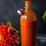 Learn how to make Fermented Hot Sauce—a simple way to enhance and preserve your abundance of garden chilies to use throughout winter. Full of healthy probiotics, this easy recipe has many health benefits. Plus, it just tastes good!