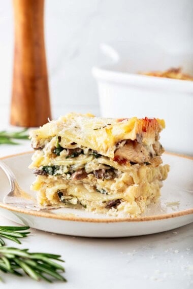 creamy chicken lasagna on a plate