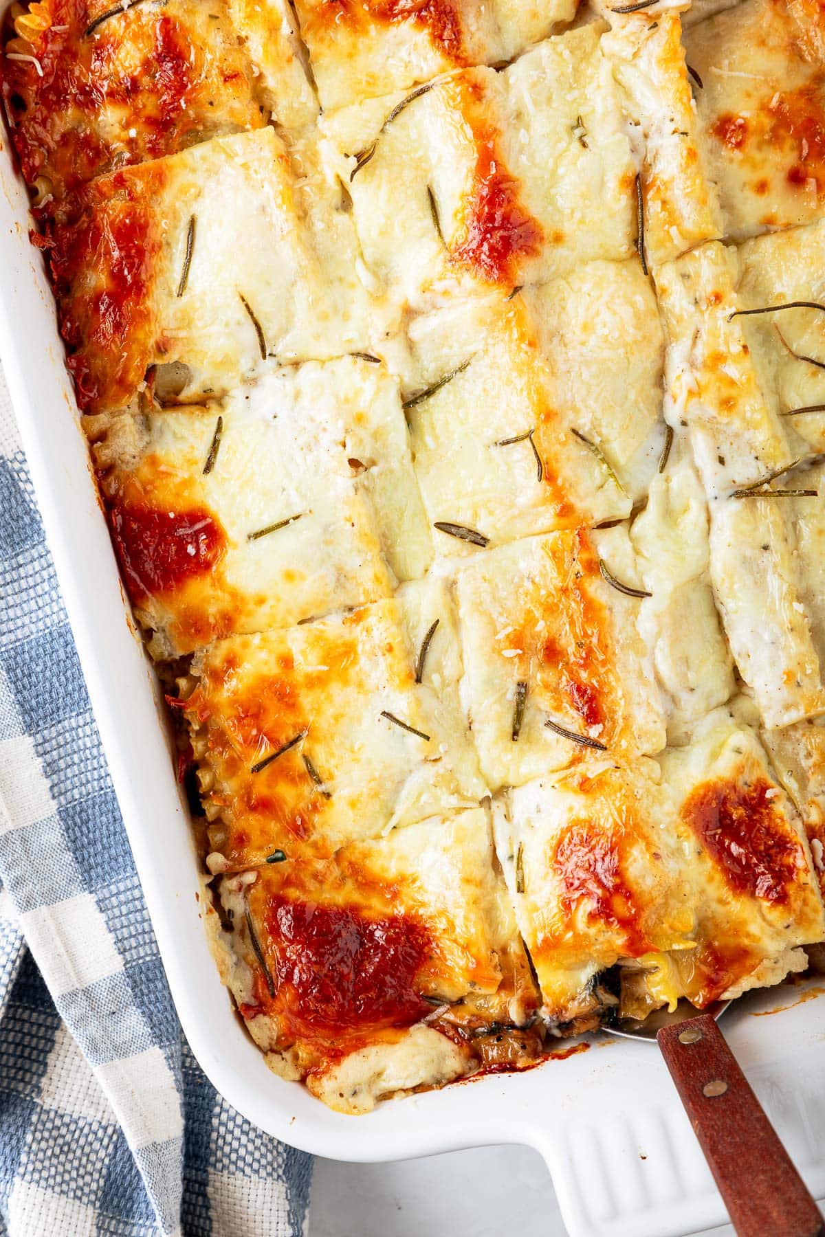 Creamy chicken lasagna right out of the oven. 